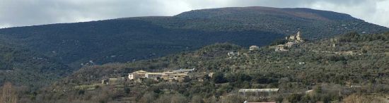 The forest of Almazorre