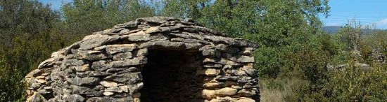 Agricultural and livestock constructions