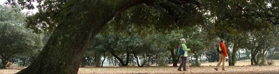 Los carrascales en el valle del río Vero